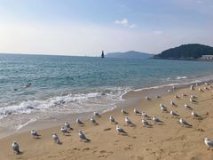 -海云台海滩