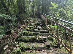 -云南屏边大围山国家公园