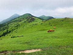 -大姆山草场