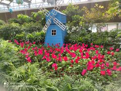 -南宫五洲植物乐园