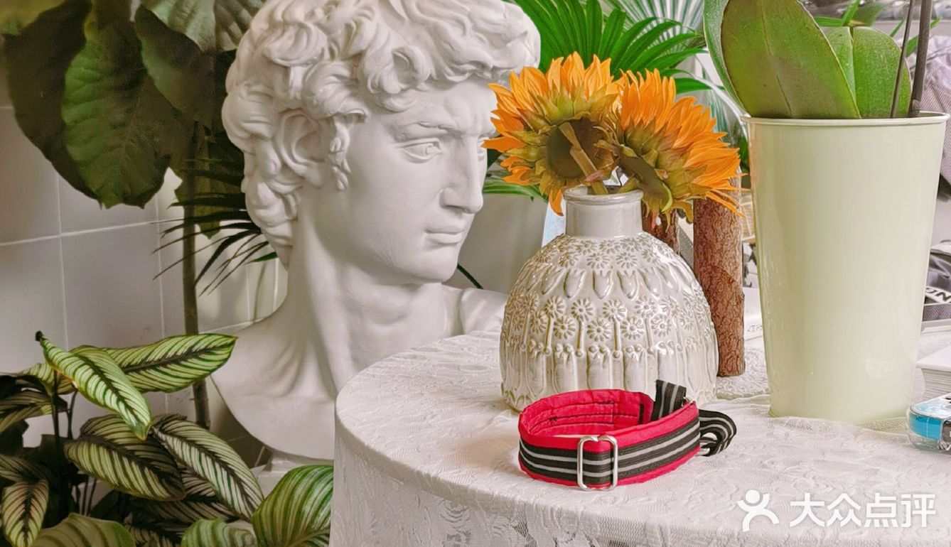 沉浸在美丽的花花草草中不可自拔