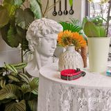 沉浸在美丽的花花草草中不可自拔