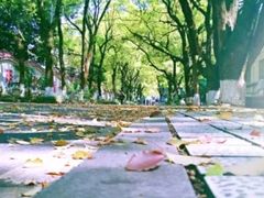 -湖南生物机电职业技术学院(东湖校区)