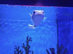 -多彩贵州城极地海洋世界