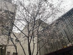 -苏州环秀晓筑养生度假村