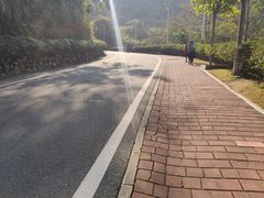 -火炉山森林公园