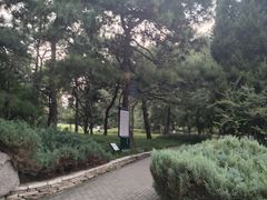 -玲珑塔公园