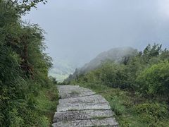 -南岳衡山风景名胜区