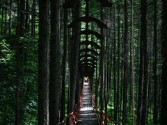 -狮子沟牧场