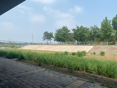 -绿堤公园