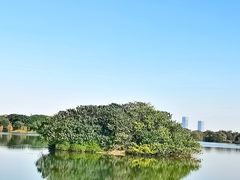 -海珠湖公园