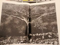 -二酉书店TOYOU BOOKS