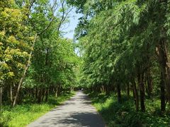 -WeLope紫金山探险公园