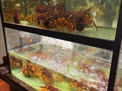 -甄御•海鲜新青岛菜(麦岛店)