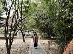 -中国政法大学(昌平校区)