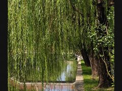 -海棠花溪(元大都城垣遗址公园)