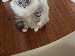 -贝康宠物医院·犬猫全科·小动物特色诊疗中心(东环路店)