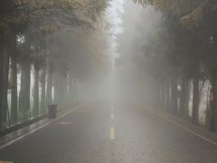 -山王坪喀斯特国家生态公园