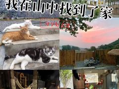 -小时光咖啡馆(开森度假森林店)