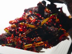 -雲蜀龙阁·金牌水煮鱼(方庄店)