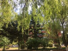 -长春市十一高中