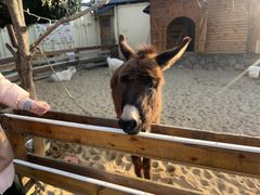 -HERRE·FARM 赫尔露营农场·团建聚会包场