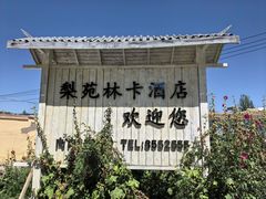 -梨苑林卡金陵山水酒店