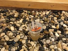 -汤W城市微度假(仓山店)