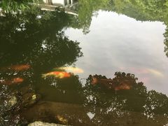 -杭州花家山庄