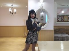 -猫猫幼稚园·撸猫·桌游·电玩