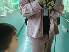 -上海大自然野生昆虫馆(东方明珠·爬宠昆虫探索中心)