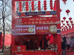 -北京凤凰岭