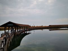 -苏州太湖湖滨国家湿地公园