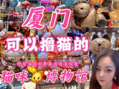 -猫咪博物馆(顶澳仔猫街店)