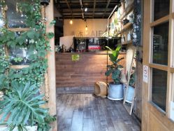 -青木造型HAIR·あおき髪を刈る潮人店