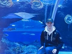 -成都浩海立方海洋公园