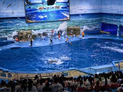 -多彩贵州城极地海洋世界