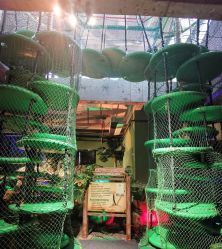 -恐龙探索乐园(磁器口店)