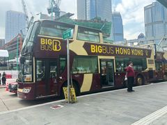 -Big Bus Tours 敞篷观光巴士