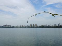 -艾溪湖湿地公园