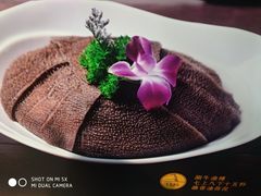 -巴奴毛肚火锅(九洲店)