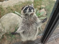 -大连森林动物园