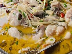 -金三可市井水煮鱼(金碧园店)