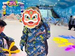 -世界之窗阿尔卑斯冰雪世界