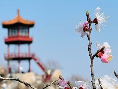 -北京凤凰岭