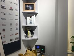 -猫头鹰照相馆(国贸店)