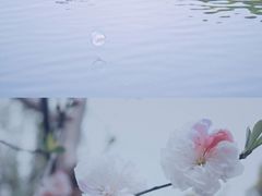 -圩墩遗址公园
