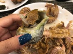 海螺-澜悦港海鲜体验主题餐厅