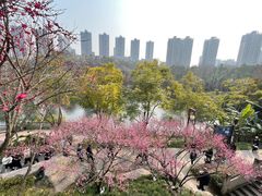 -重庆彩云湖湿地公园