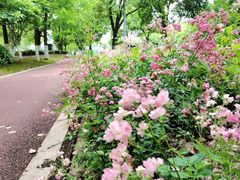 -武汉园博园(武汉自然博物馆)